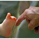 Florida Estate Planning